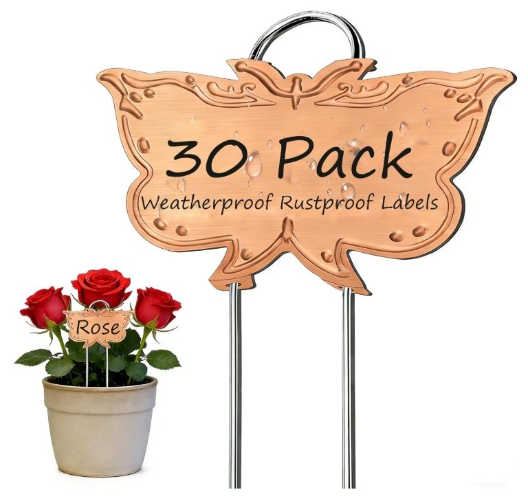 Metal butterfly‑shaped garden labels with rustproof, weatherproof stakes, used for marking flowers, herbs, and upcycled garden containers in outdoor container gardening.
